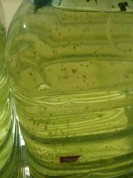 Agua Verde