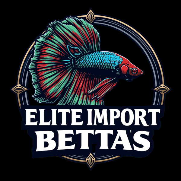 ÉliteImportBettas