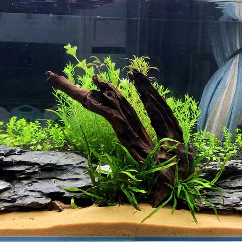 Productos para Acuario
