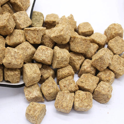 Artemia Salina Liofilizada