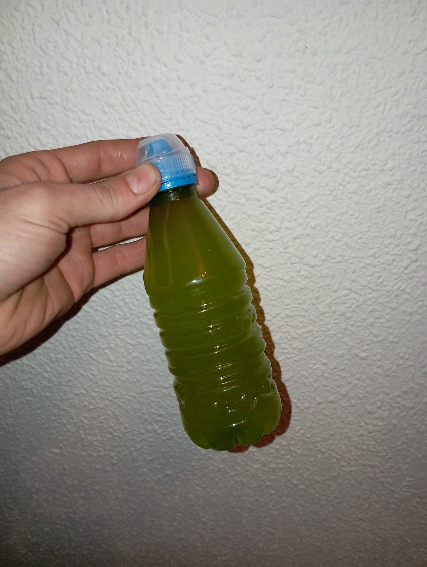 Agua Verde